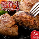 ハンバーグ120g×5個 贈り物 ギフト プレゼント