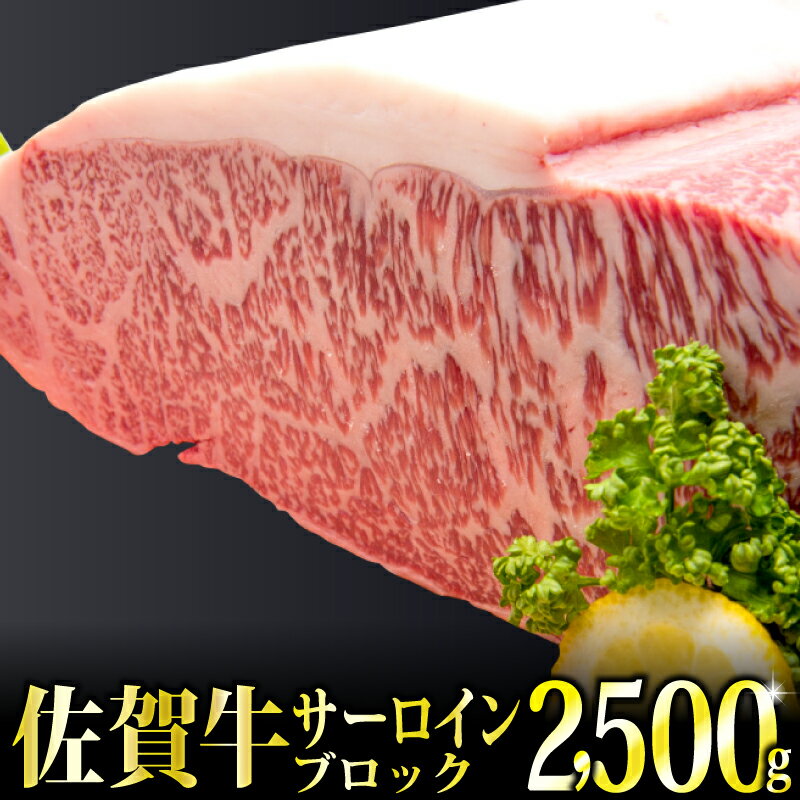 「佐賀牛」サーロインブロック2.5kg