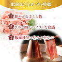 佐賀県上峰町の画像3