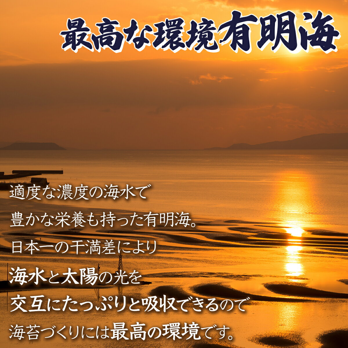 【ふるさと納税】佐賀海苔 極厚初摘み焼海苔7袋 (年3回) 有明海産 佐賀海苔 おにぎり 手巻き寿司 キンパ 高級海苔 希少海苔 定期便