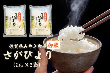 【農家指定】さがびより4kg（2kg×2）みやき町産白米 国産 佐賀県産 家庭用 お取り寄せ 農家直送 送料無料（DW006）