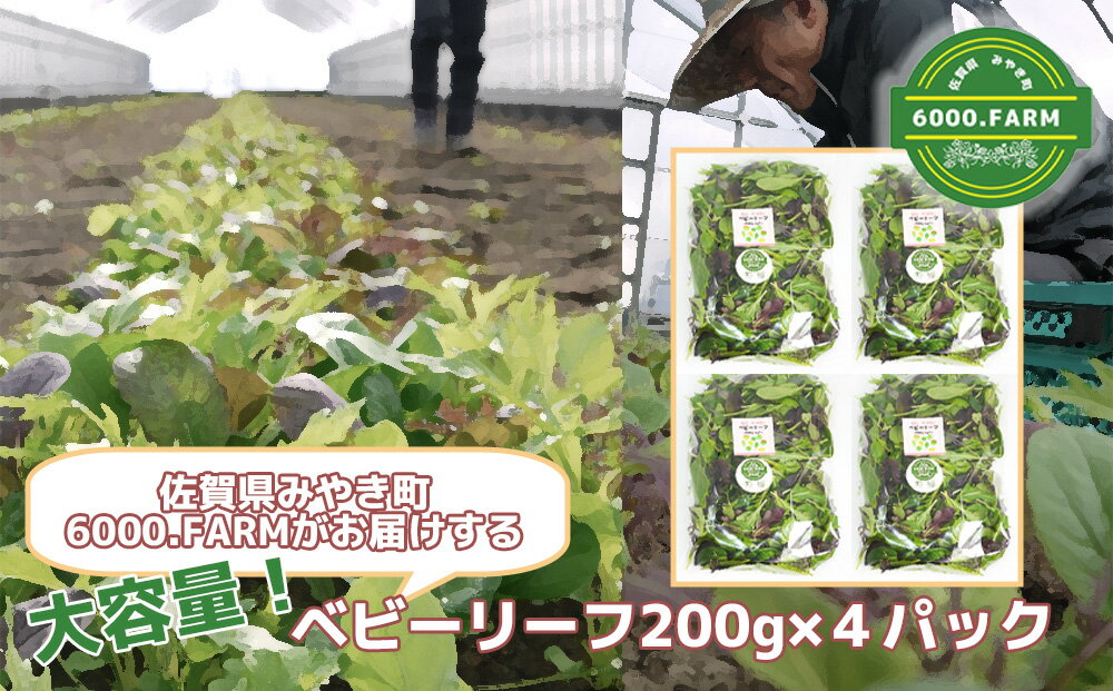 大容量ベビーリーフ200g×4セット 有機JAS認証取得 野菜 葉野菜 サラダ 国産 直送