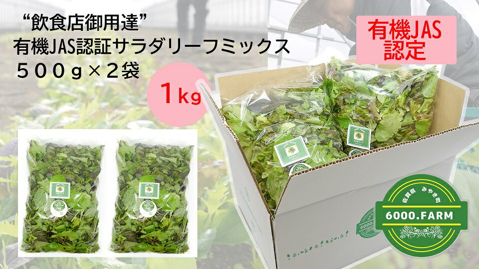 [飲食店御用達]有機JAS認証サラダリーフMix(500g×2袋 合計1kg)