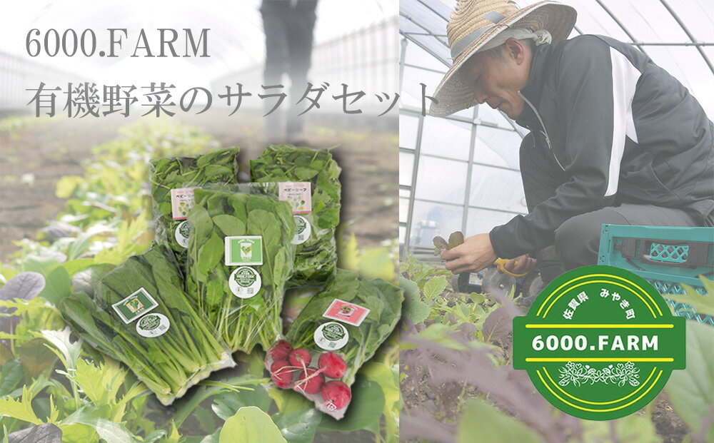 有機野菜のサラダセット