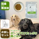【ふるさと納税】国産・保存料無添加のドッグフード・ボーンブロスたっぷり鹿ごはん【お試しセット】(GC002)