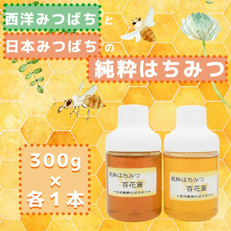 【ふるさと納税】_【2025年7月以降発送】日本蜜蜂の純粋はちみつ*西洋蜜蜂のはちみつ 食べ比べセット 300g×各1(GD007)