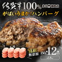 【ふるさと納税】がばいうまか佐賀牛100%ハンバーグ(150g×12個 計1.8kg)(GG005)(4)