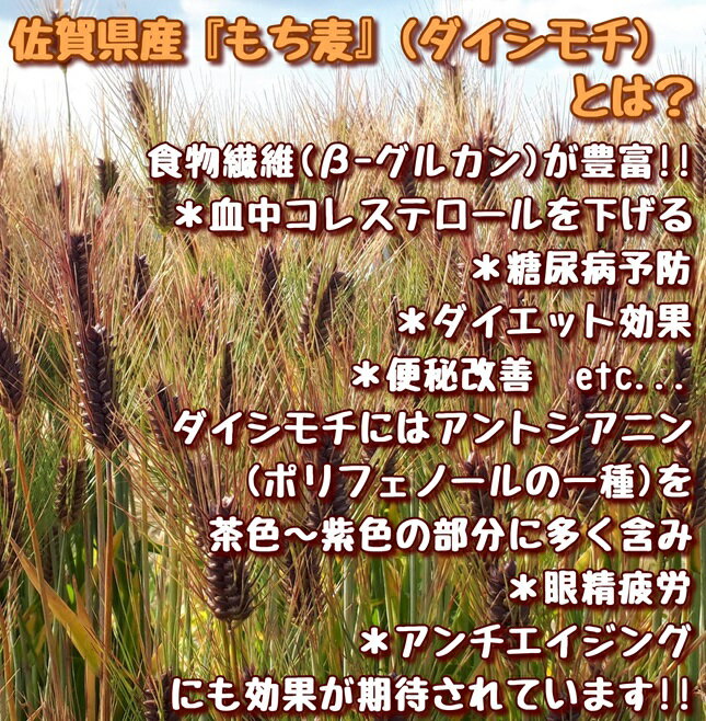 【ふるさと納税】佐賀県産『もち麦』2kg(1kg×2袋)【ダイシモチ】（CI015）