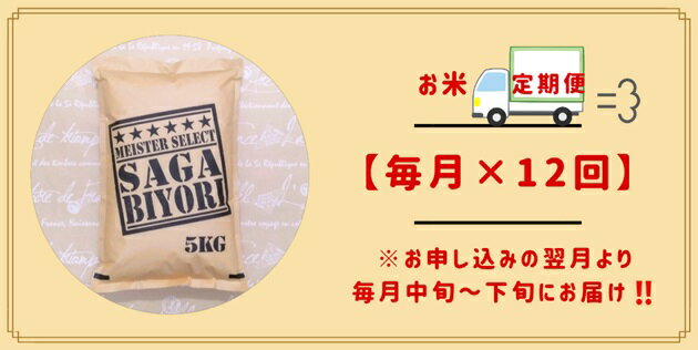 【ふるさと納税】【12回定期便】無洗米さがびより5kg【五つ星お米マイスター厳選！】（CI350）