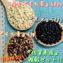 【ふるさと納税】佐賀県産もち麦1kg・精麦もち麦500g・黒米500g（CI016）