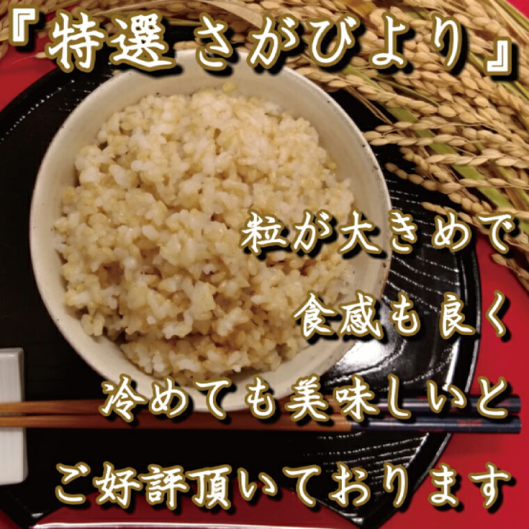 【ふるさと納税】有機肥料を使って栽培した≪特選さがびより≫みやき町産【玄米10kg】（5kg×2袋） (CI143)