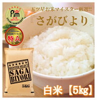 【ふるさと納税】令和2年度産さがびより白米5kg 【五つ星お米マイスター厳選！】 （CI041）