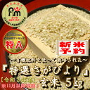 【ふるさと納税】【11月発送】【令和2年度産】有機肥料を使って栽培した≪特選さがびより≫みやき町産【玄米5kg】（CI077）