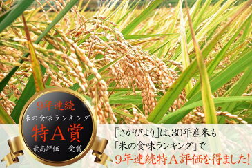 【ふるさと納税】【H30年産米】みやき町産『さがびより(精米30kg)』9年連続特A受賞(41E377)