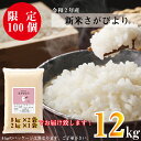 【ふるさと納税】【12キロ】令和2年産米さがびより【限定100袋】（BG142）