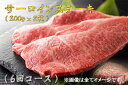 【ふるさと納税】最高級佐賀牛サーロインステーキ年6回コース(200g×2)(BG179)