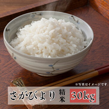 【ふるさと納税】【H30年産米】みやき町産『さがびより（精米30kg）』9年連続特A受賞(41E377)