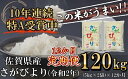 【ふるさと納税】さがびより 定期便 12ヶ月 令和2年産 新