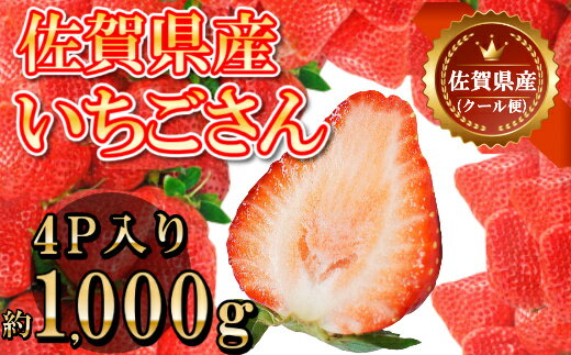 【ふるさと納税】佐賀県産いちごさん 合計約1kg 250g×4P 苺 いちご イチゴ【令和6年1月下旬から順次発送】（DY039）のサムネイル