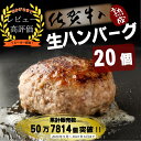 【ふるさと納税】佐賀牛入り熟成生ハンバーグ　20個（120g×20個)（FM014）