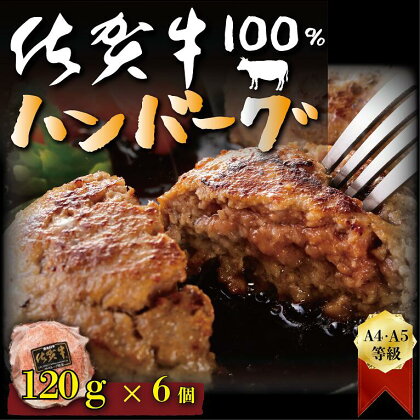 佐賀牛100%ハンバーグステーキ　120g×6個（FM019）