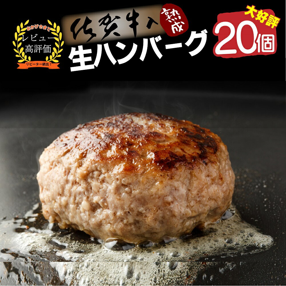 佐賀牛入り熟成生ハンバーグ　20個（120g×20個)（FM030）