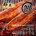 肉厚で脂が乗ったふっくらうなぎ蒲焼4尾　有頭鰻”当社秘伝のたれ”仕込み 1尾あたり約160g前後×4尾（合計約600g以上）たれ・山椒セット（FK005）