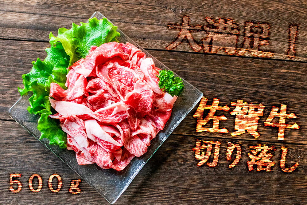 [佐賀のお肉をご家庭に!]佐賀牛切り落とし500g