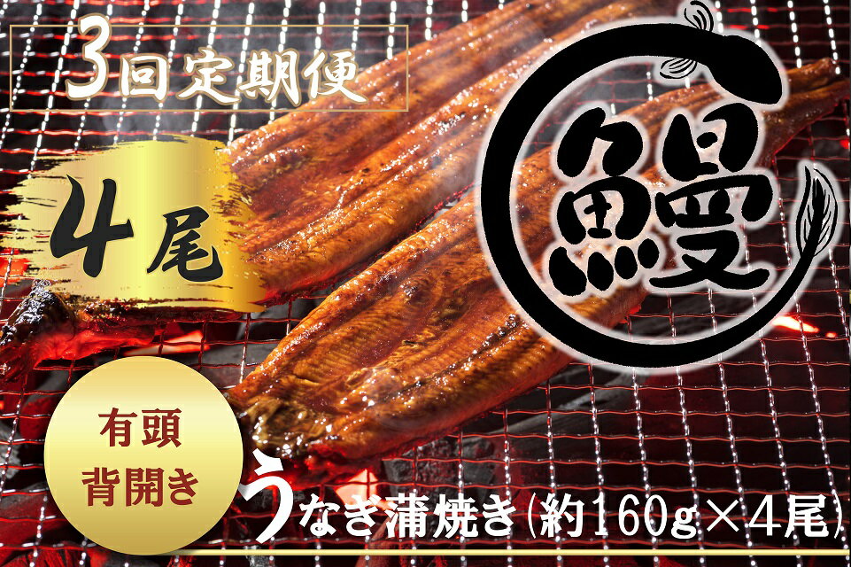 【ふるさと納税】【3回定期便】肉厚で脂が乗ったふっくらうなぎ蒲焼4尾　有頭鰻”当社秘伝のたれ”仕込...