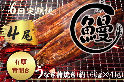 【6回定期便】肉厚で脂が乗ったふっくらうなぎ蒲焼4尾　有頭鰻”当社秘伝のたれ”仕込み 1尾あたり約160g前後×4尾（合計約600g以上）たれ・山椒セット（FK010）