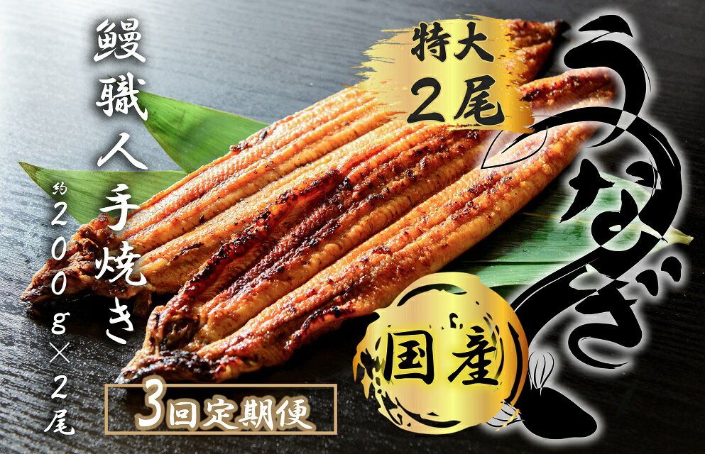 [3回定期便]九州産 うなぎ職人手焼き 蒲焼 国産 有頭鰻 1尾あたり約200g×2尾(合計約400g以上)たれ・山椒セット