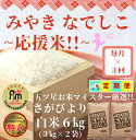 【ふるさと納税】【みやきなでしこ】応援米【3回定期便】さがびより白米6kg(3kg×2袋)(CIC84)