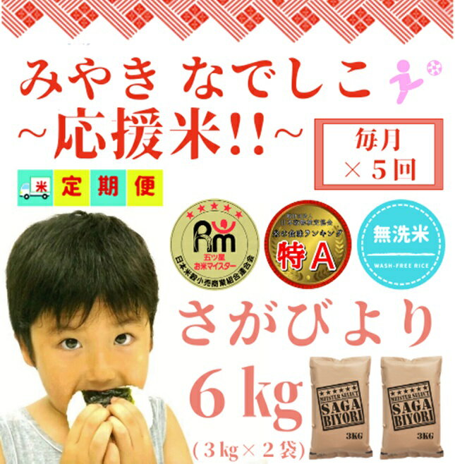 【ふるさと納税】【みやきなでしこ】応援米【5回定期便】【無洗米】さがびより6kg（3kg×2袋）（CI397）