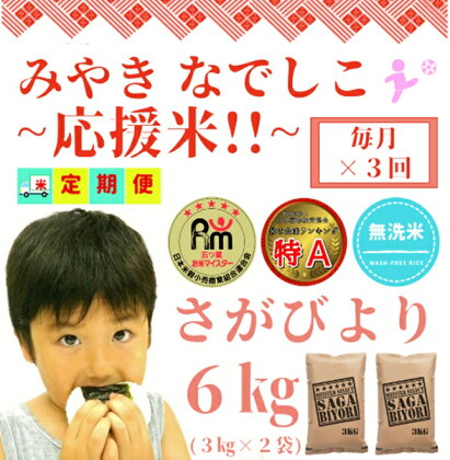 【みやきなでしこ】応援米【3回定期便】【無洗米】さがびより6kg（3kg×2袋）（CI414）