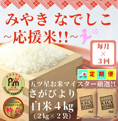 【みやきなでしこ】応援米【3回定期便】さがびより白米4kg（2kg×2袋）（CI421）