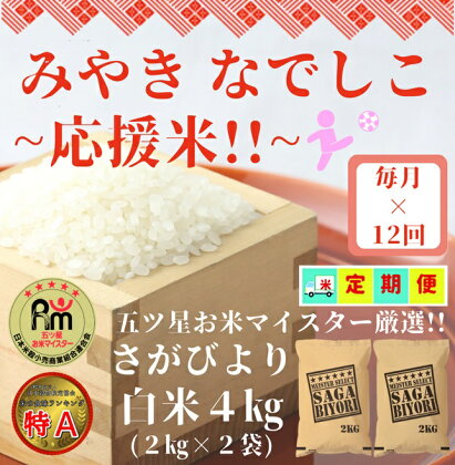 【みやきなでしこ】応援米【12回定期便】さがびより白米4kg（2kg×2袋）（CI338）