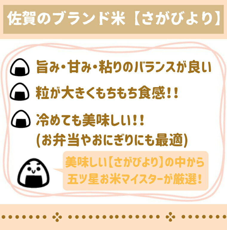 【ふるさと納税】さがびより白米10kg＆がばうま辛味みそ（四川麻婆味80g）（CI296） 2