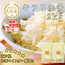 【ふるさと納税】【12回定期便】キラリモチ2kg もち麦 キラリ もち麦ごはん(CIB29)