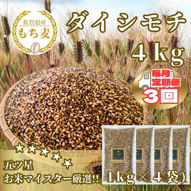 【ふるさと納税】【3回定期便】ダイシモチ4kg もち麦 キラリ もち麦ごはん(CIC18)