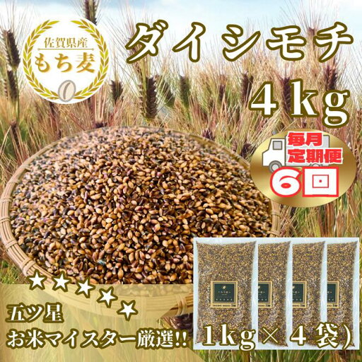 【ふるさと納税】【6回定期便】ダイシモチ4kg もち麦 キラリ もち麦ごはん(CIB43) 【ふるさと納税】【6回定期便】ダイシモチ4kg もち麦 キラリ もち麦ごはん(CIB43)