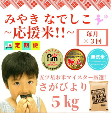 【ふるさと納税】【みやきなでしこ】応援米【3回定期便】【無洗米】さがびより5kg（CI198）