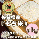 【ふるさと納税】佐賀県産もち米『ヒヨクモチ』5kg(CIC56)