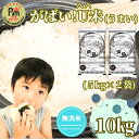【ふるさと納税】【がばい!U米(うまい)】≪無洗米≫お徳用10kg! (5kg×2袋)(CID14)