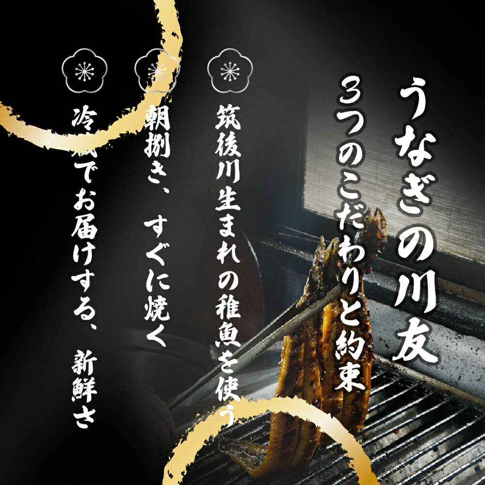 【ふるさと納税】【冷蔵発送】朝開き国産うなぎ 当日発送2尾（1尾あたり約200～230g） 味噌焼き 国産鰻 ウナギ 土用丑の日（AK005） 3