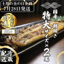 【ふるさと納税】【土用の丑の日企画:7月28日冷蔵発送】朝開き国産うなぎ2尾(1尾あたり約200g) 塩焼き 国産鰻 ウナギ(AK007)