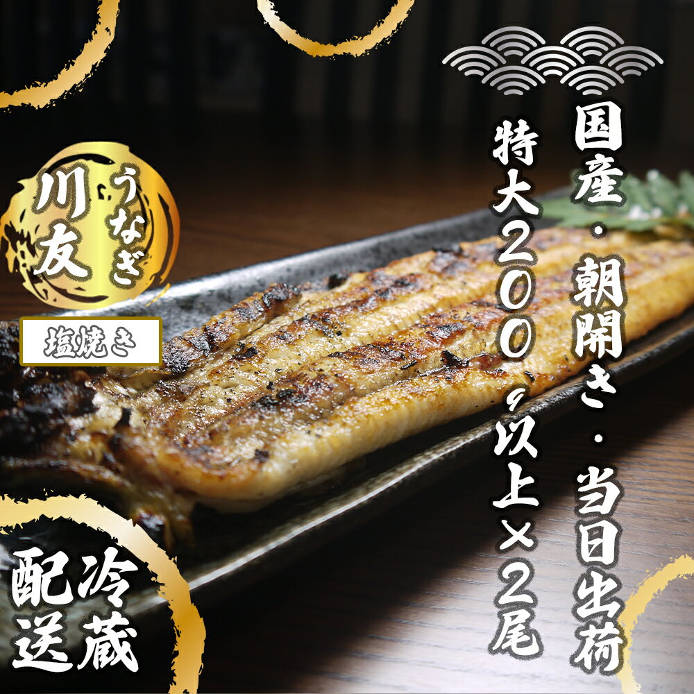 朝開き国産うなぎ2尾(1尾あたり約200g) 塩焼き 国産鰻 ウナギ