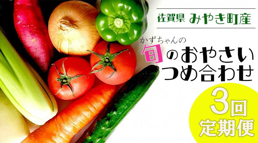 【ふるさと納税】【3回定期便】かずちゃんの朝採り新鮮野菜セット隔月3回お届け みやき町産（CC003)