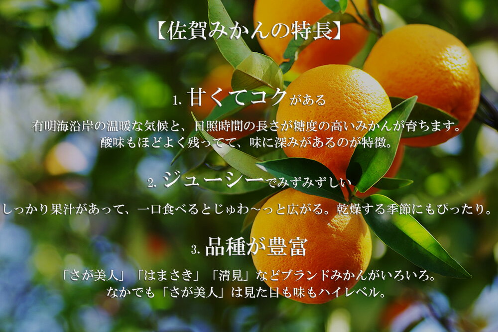 【ふるさと納税】天草（あまくさ）みかん7～15玉　3kg（化粧箱入り）（DV143）