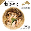 【ふるさと納税】訳あり お得な 高級松きのこ サイズ不揃い 家庭用 300g【年6回コース】(EW015)