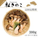 【ふるさと納税】訳あり お得な 高級松きのこ サイズ不揃い 家庭用 300g【年12回コース】(EW016)
